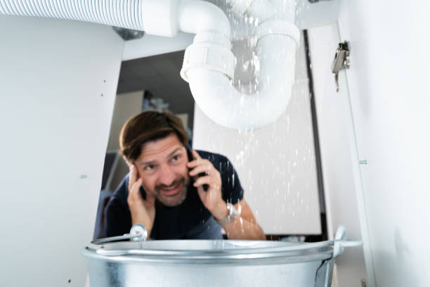 Best Faucet Repair  in Dewitt, MI