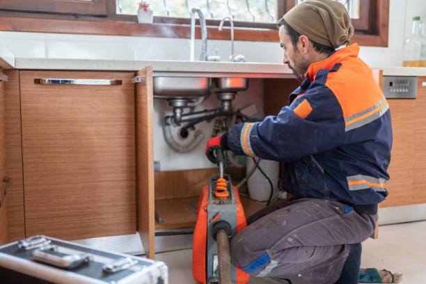 Best Plumbing Services Near Me  in Dewitt, MI