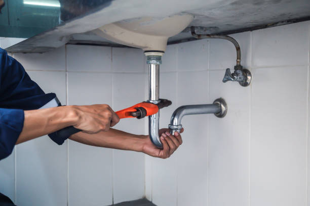 Best Affordable Plumbing Services  in Dewitt, MI