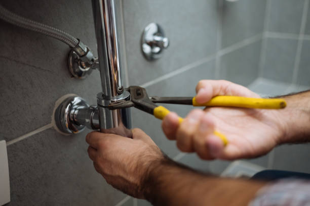Sprinkler Systems in Dewitt, MI