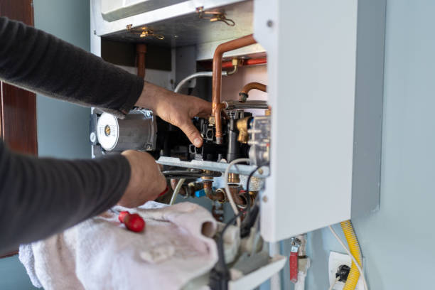 Best Residential Plumbing Services  in Dewitt, MI