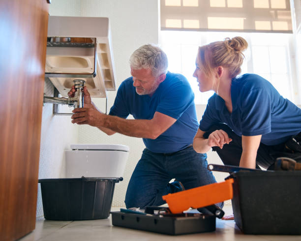 Best 24-Hour Plumber Near Me  in Dewitt, MI