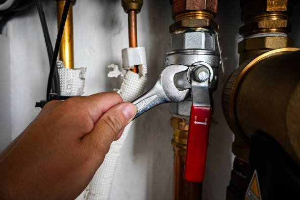 Best Clogged Drain Plumber  in Dewitt, MI